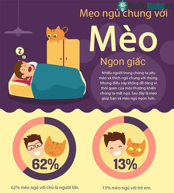 Mẹo ngủ chung với mèo