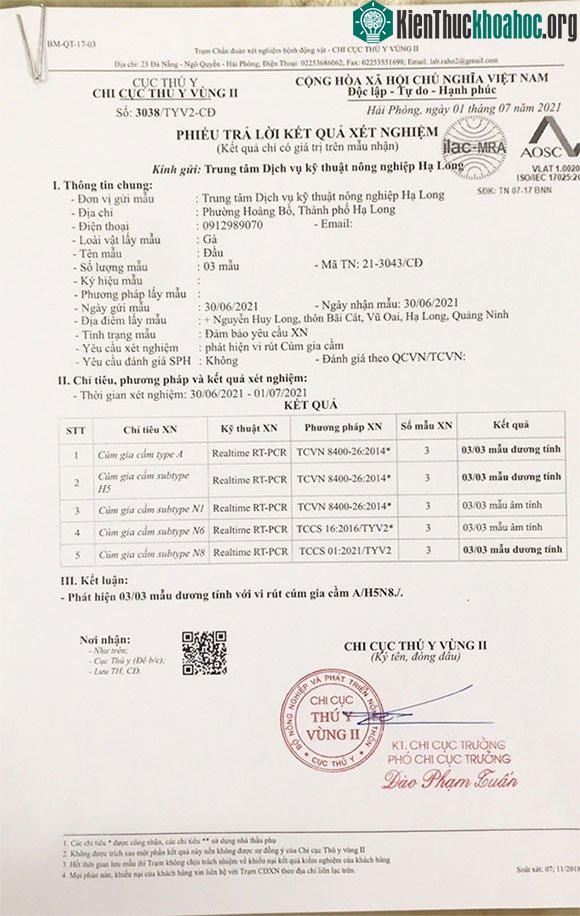 Mẫu trả kết quả xét nghiệm của Chi cục thú y vùng II