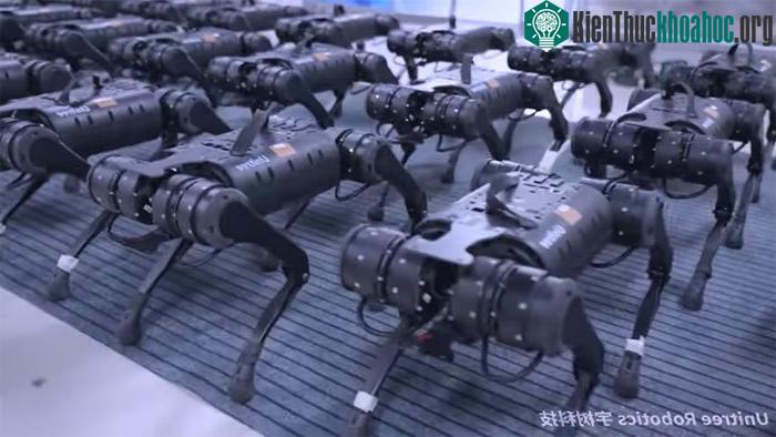 Nhiều người dùng tỏ ra kinh hãi trước hình ảnh trong video.
