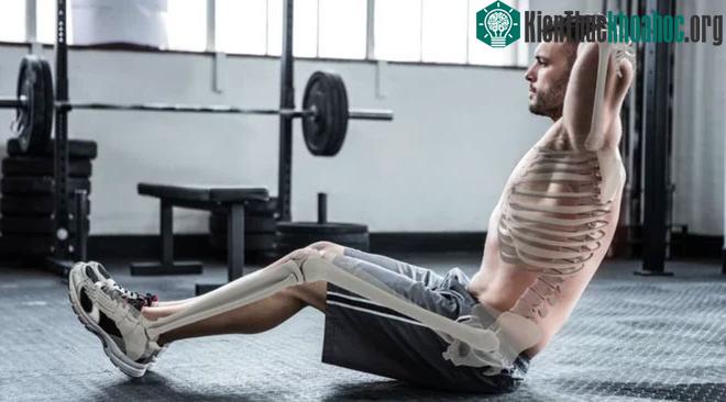 Biến đổi gene kỳ lạ khiến nhiễm sắc thể gây loãng xương giúp xương cứng chắc khác thường ảnh 0