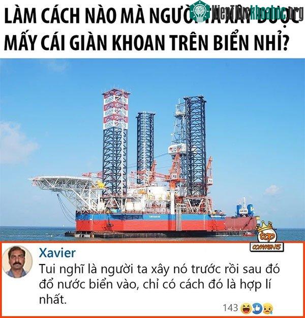 Một câu hỏi thú vị và câu trả lời hài hước