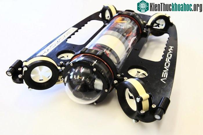 ExRay có thể được bán ra thị trường vào cuối năm sau.