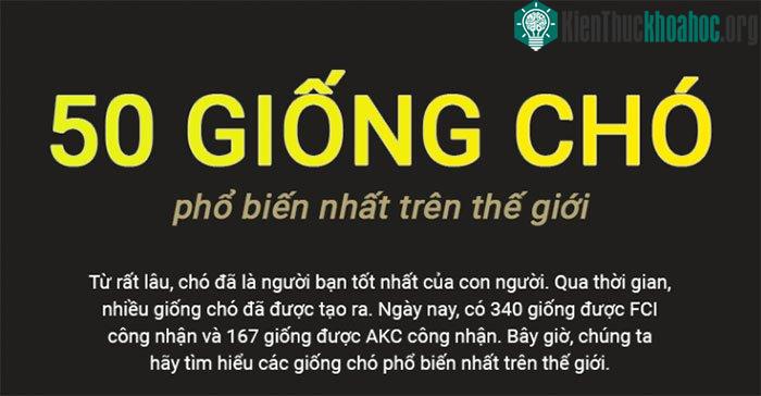 Top 50 giống chó phổ biến nhất thế giới ảnh 0