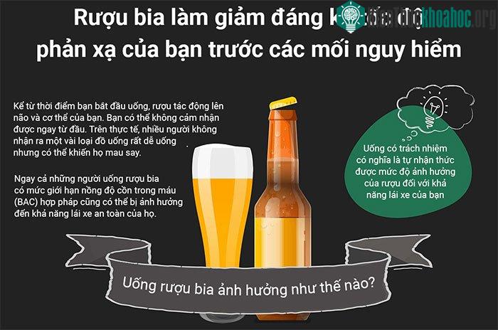 Tác động của rượu bia đối với người lái xe như thế nào? ảnh 0