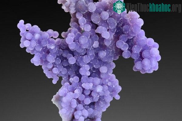 Mã não nho