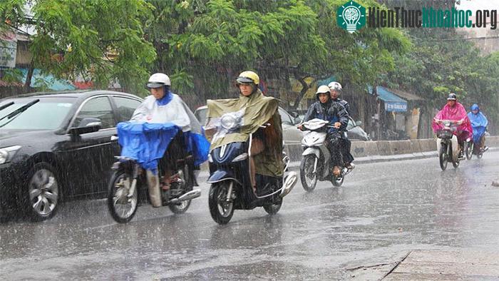 Chiều tối nay (3/6), vùng núi Bắc Bộ có mưa rào và dông.