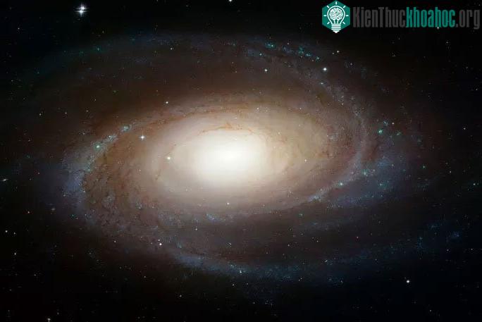 Thiên hà M81