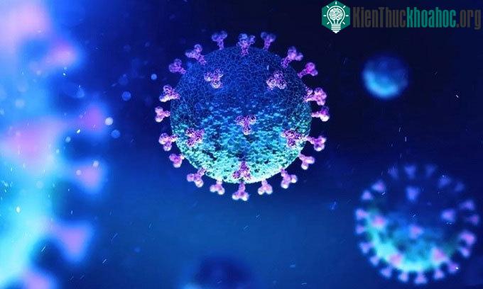 Mỗi người nhiễm bệnh mang khoảng 10 - 100 tỷ hạt nCoV ở thời kỳ đỉnh điểm.