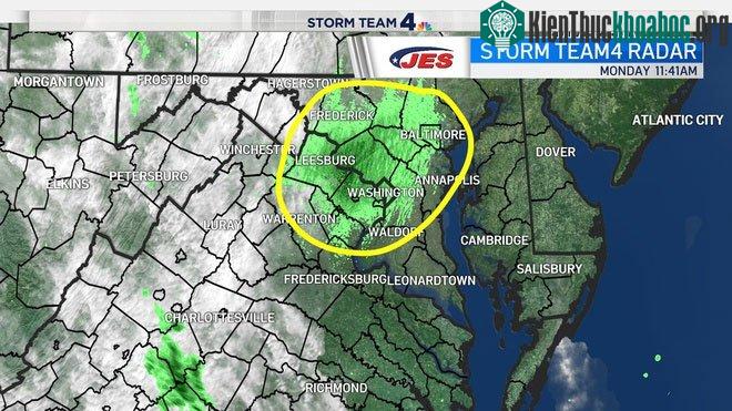 Hình ảnh chụp từ radar thời tiết ghi lại mật độ đám ve sầu xung quanh khu vực Washington.