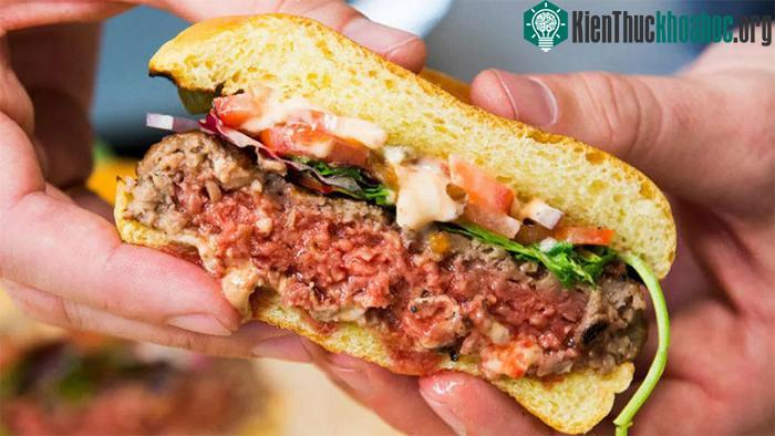 Thực phẩm có nguồn gốc từ thực vật đang phổ biến hơn bao giờ hết
