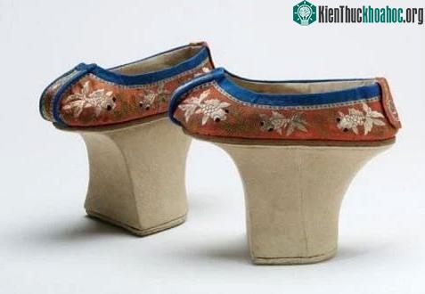 Phần đế của hài bồn hoa thường cao từ 5-15cm.