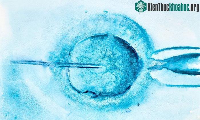 Sự kết hợp của văn hóa và gene thúc đẩy nhiều khả năng thích nghi với môi trường sống mới ở con người hơn