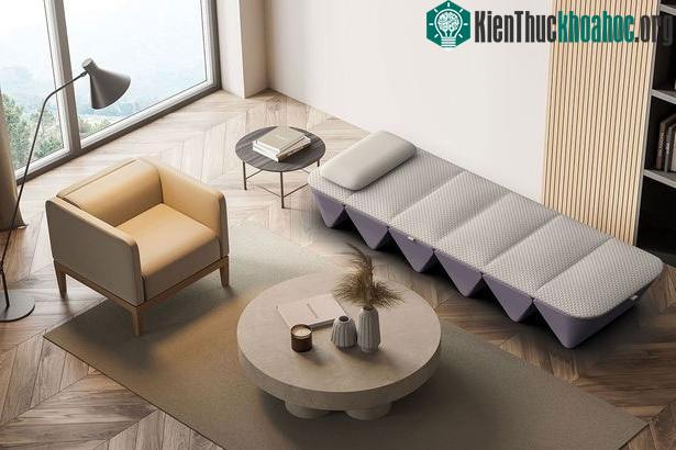 Chiếc giường này rất phù hợp để đặt trong phòng khách hoặc bất kỳ nơi đâu bạn muốn.