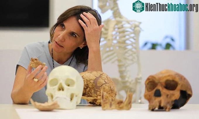 Người Nesher Ramla có hình thái giống người Neanderthal nhưng khác người hiện đại.