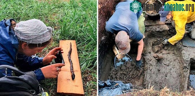 Tượng điêu khắc rắn được khai quật tại một đồng cỏ xanh tốt.