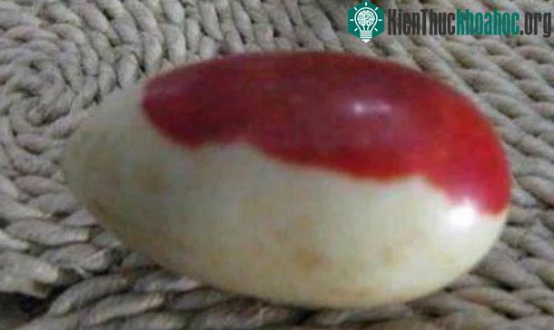 Hai viên đá này chính là di vật từ thời nhà Minh của Trương Hiến Trung.
