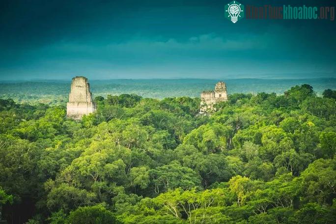 Thành phố cổ Maya