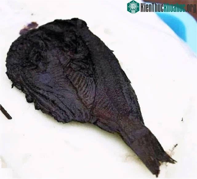 Cá muối 2400 năm tuổi