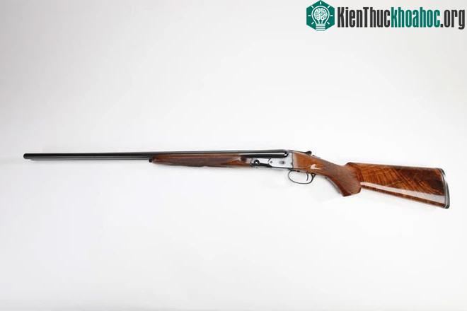 Shotgun Remington Parker