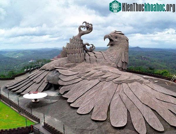 Chim đại bàng khổng lồ này cũng được đặt tên là Jatayu