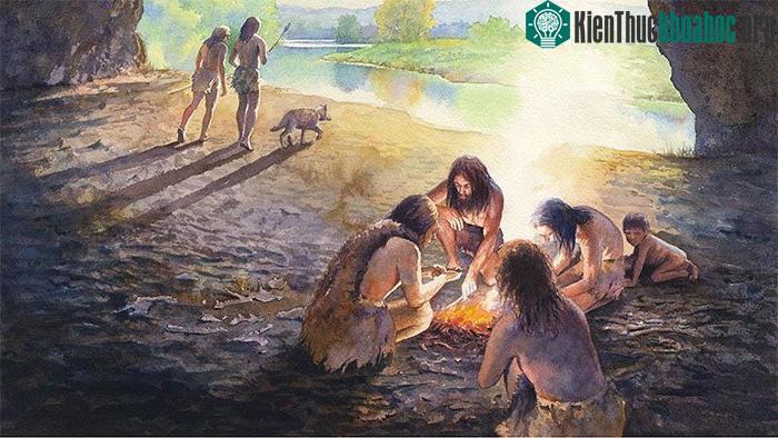 Người xưa có xu hướng đốt cháy rừng ngay khi cây cối có dấu hiệu mọc trở lại.