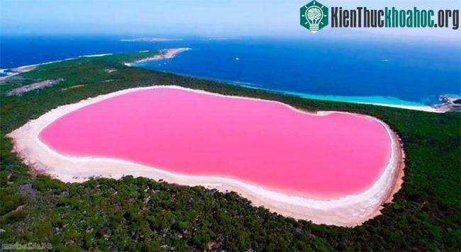 Lac Rose lộng lẫy nhất khi trời ngập nắng.