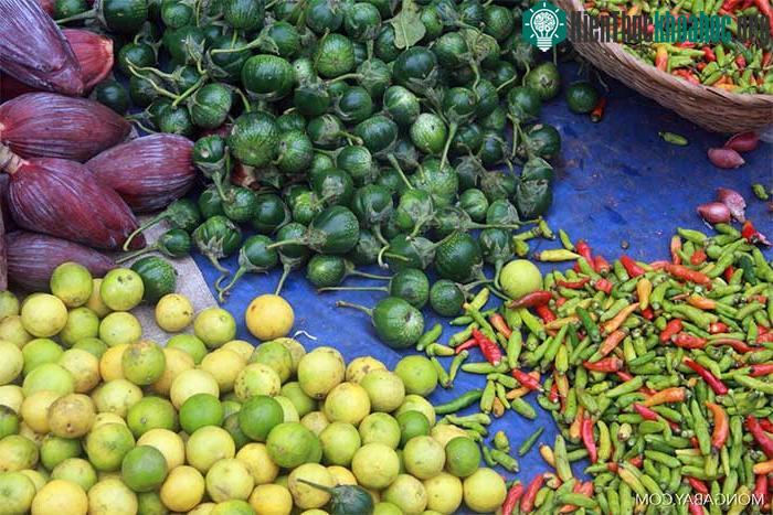 Các mô hình sản xuất nông nghiệp và tiêu thụ lương thực nên đa dạng hóa