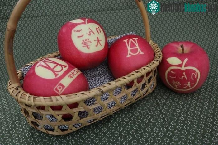 Kỹ thuật dùng ánh sáng mặt trời biến táo thành tác phẩm nghệ thuật của người Nhật ảnh 1