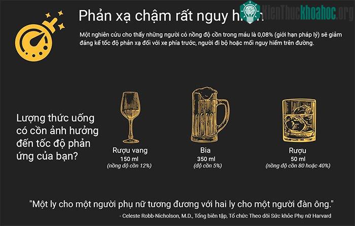 Tác động của rượu bia đối với người lái xe như thế nào? ảnh 1