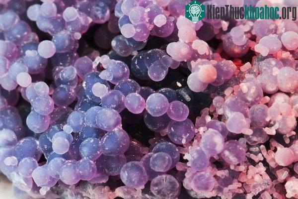 Mã não nho thực ra là đá chalcedony