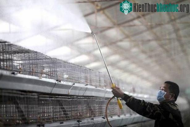 Trung Quốc phát hiện người đầu tiên nhiễm virus cúm gia cầm H10N3 ảnh 1