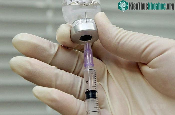 Các virus cúm càng đa dạng thì càng nguy hiểm và càng tốn kém.