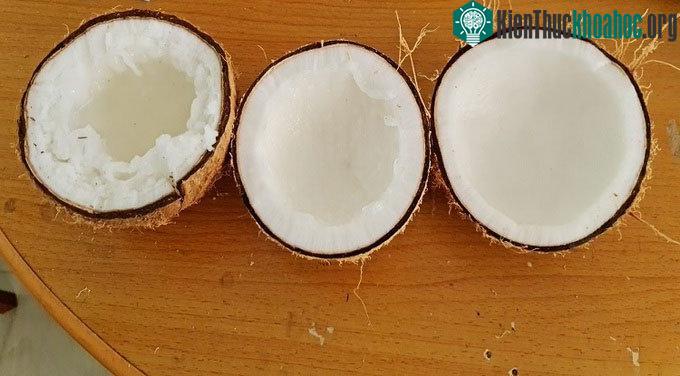 Ba loại dừa máy nhận biết gồm dừa khô, dừa sáp mỏng, dừa sáp đặc.