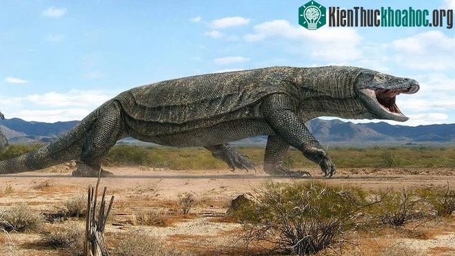 Megalania