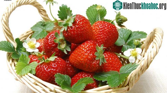 Dâu tây