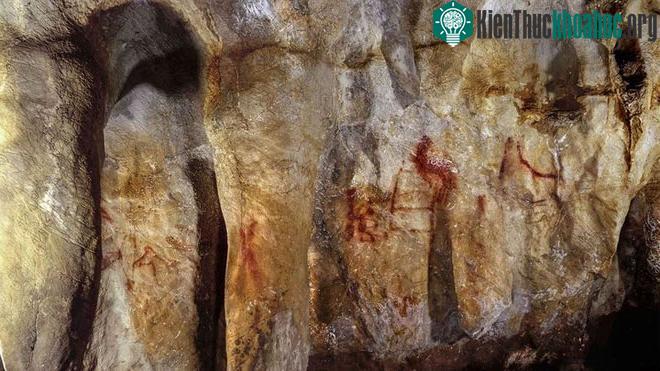Nếu người Neanderthal không bị tuyệt chủng, thế giới sẽ ra sao? ảnh 2