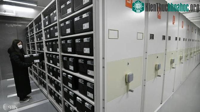 Một nhà nghiên cứu đang kiểm tra '"hộp đen" chứa hạt giống trong phòng lưu trữ.