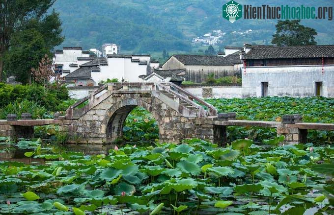 Tổng thể bên ngoài công trình phù hợp với mỹ quan, quần thể hợp nhất.