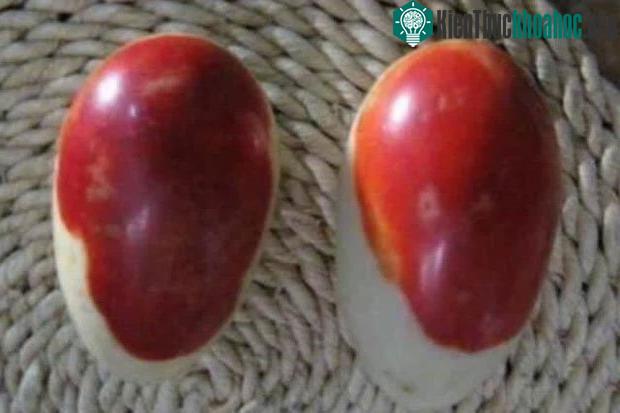 Các chuyên gia nhận định viên đá máu này có thể trị giá 800.000 NDT (2,8 tỷ đồng)