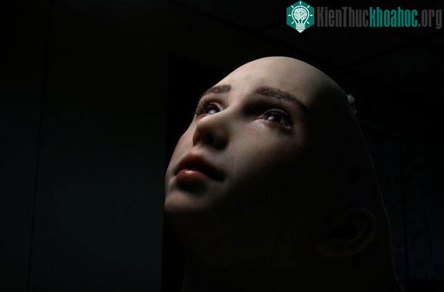 Grace có thể áp dụng liệu pháp trò chuyện, lưu trữ hồ sơ của bệnh nhân