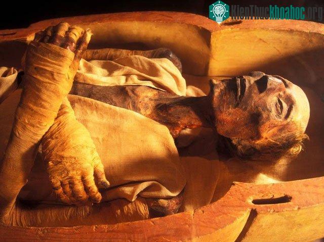 Xác ướp Ramesses II.
