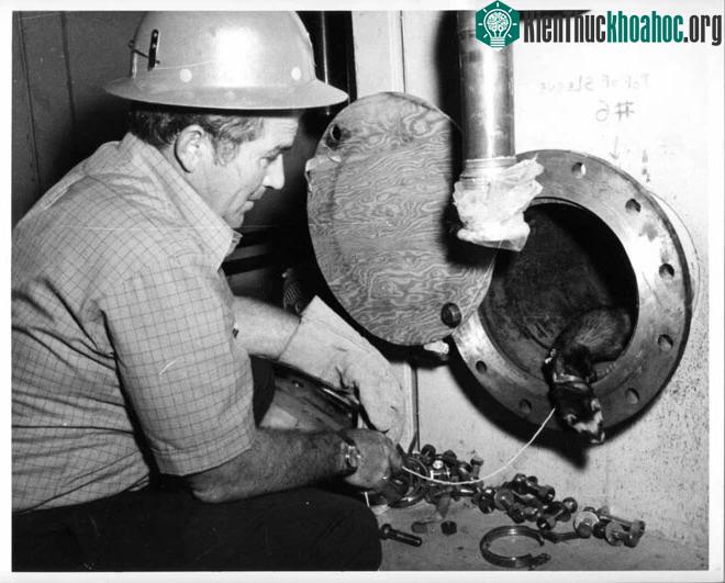 Ngành khoa học vật lý hạt Mỹ cảm ơn những cống hiến của cô chồn sương giúp vệ sinh máy gia tốc ảnh 4