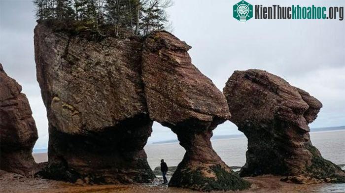 Top 7 địa danh nổi tiếng thế giới đã biến mất mãi mãi ảnh 4