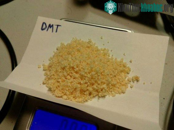 DMT dưới dạng bột.