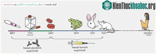 Các biện pháp thử thai từ xưa đến nay.