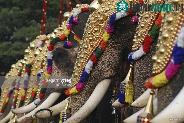 Nơi tiêu thụ vàng lớn nhất thế giới hàng năm