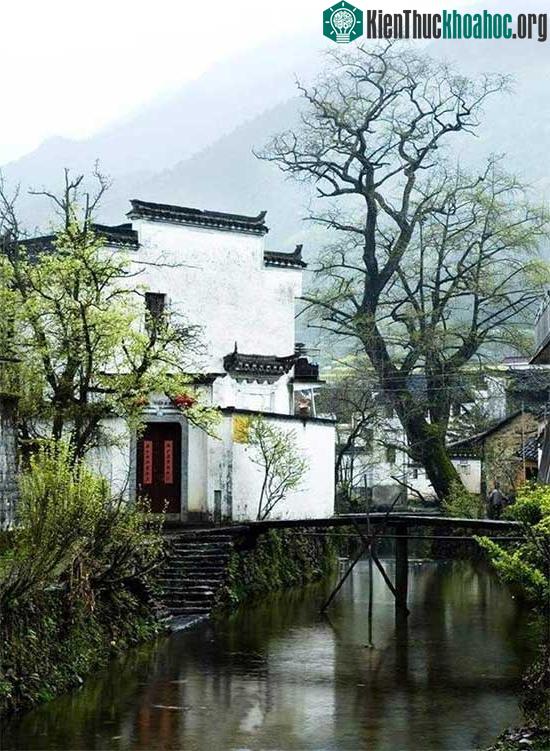 Kiến trúc chú trọng việc lấy ánh sáng tự nhiên vào trong nhà