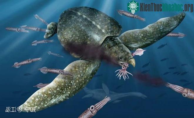 Hình ảnh khôi phục của rùa biển Archelon.