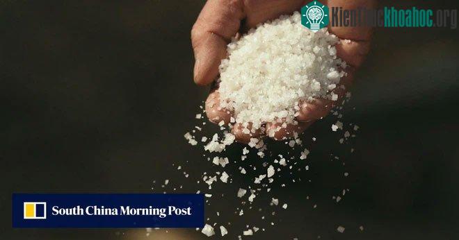 Muối ăn là một thứ gia vị không thể thiếu trong căn bếp của mỗi gia đình.