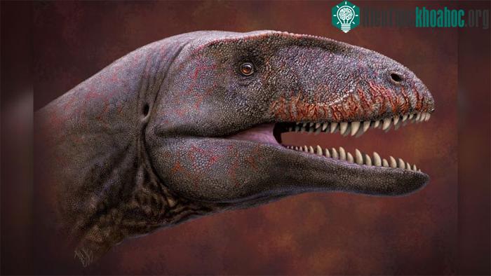 Khủng long Ulughbegsaurus uzbekistanensis